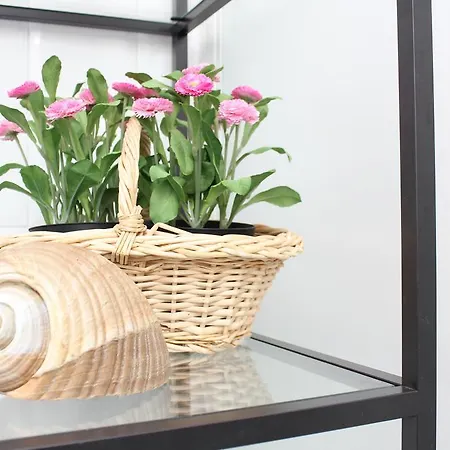 Apartman Dante Firenze